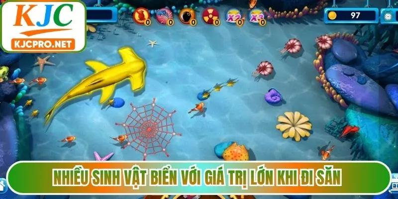 Nhiều sinh vật biển với giá trị lớn khi đi săn