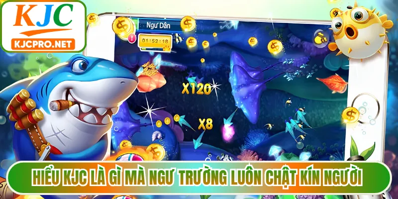 Hiểu KJC là gì mà ngư trường luôn chật kín người